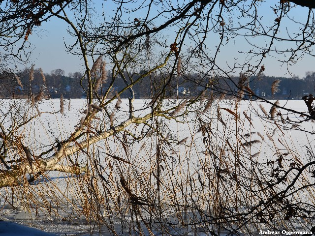 Winter am Krossinsee