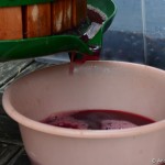 Der Saft tropft aus der Weinpresse